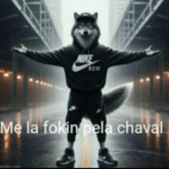 //wtpsperra amansada