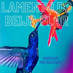 LAMENTO DO BEIJA FLOR (Hummingbird's Lament) - Kieran Meadows