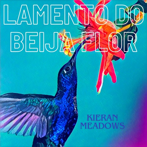LAMENTO DO BEIJA FLOR (Hummingbird's Lament) - Kieran Meadows