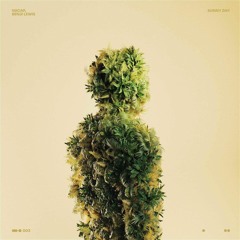 Niicap, Benji Lewis - Sunny Day