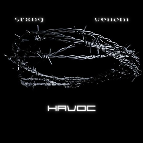 havoc (w/ v3n0m)