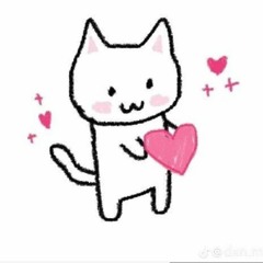 kitten cxre - Kxo