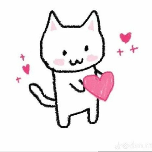 kitten cxre - Kxo