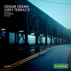 Grey Terrace (Original Mix)