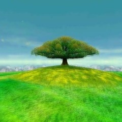 Nimbasa Core (Muffled, Slowed and Reverbed)