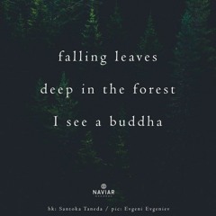 Buddha Buddhy (naviarhaiku453)