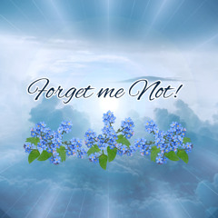 Forget Me Not