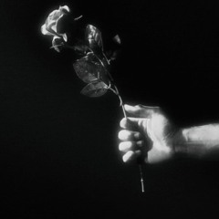 Selles - NEVE BRANCA { DOPE N CHį }