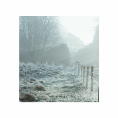 Early Light