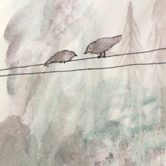 Two birds on a wire (semi good quality)
