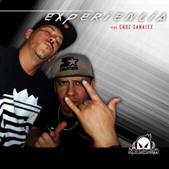 EXPERIENCIA