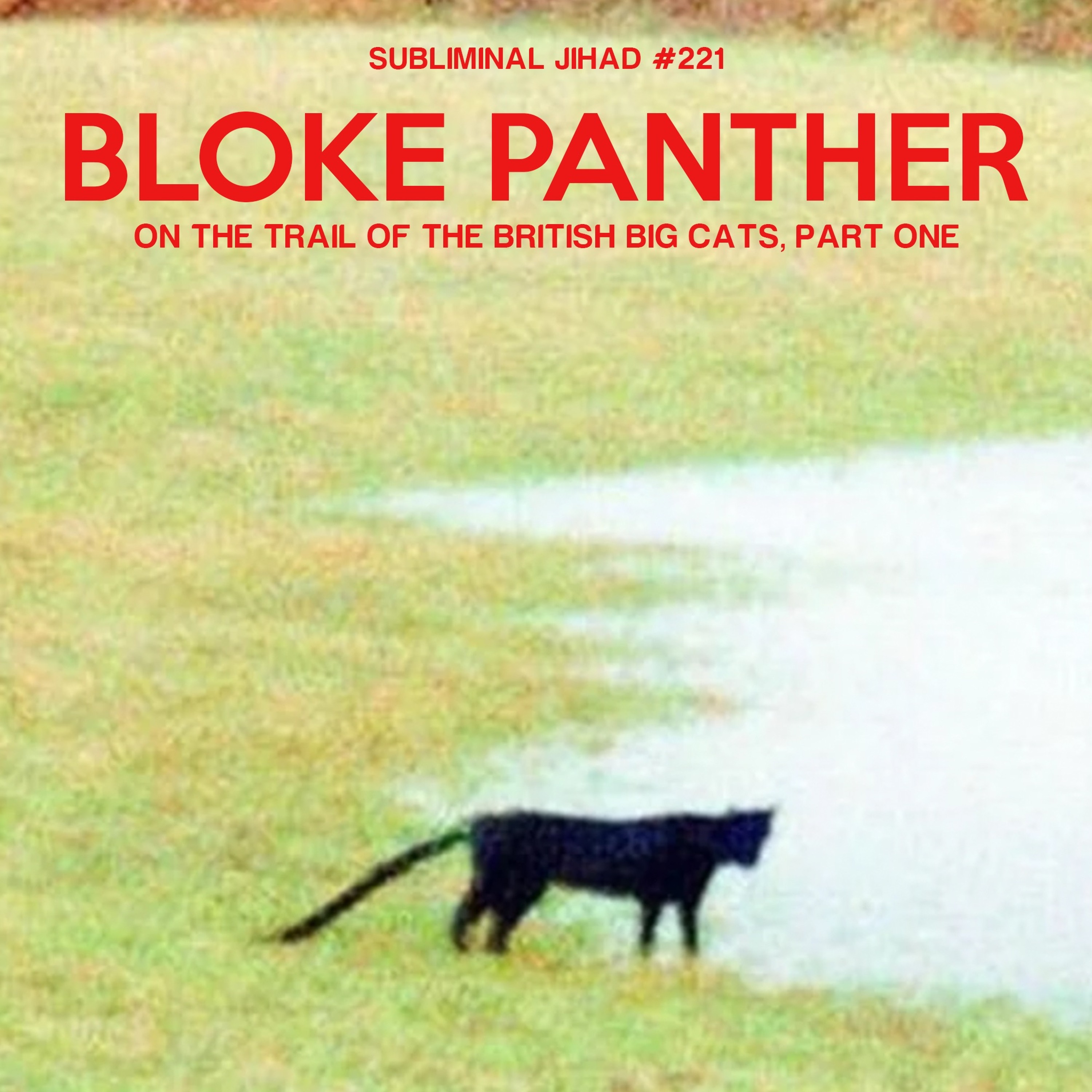 Episode Logo