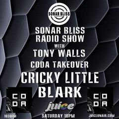 BLARK Coda Takeover Solar Bliss Radio Show Juice FM