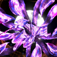 BOUNDFREESTYLE‼️