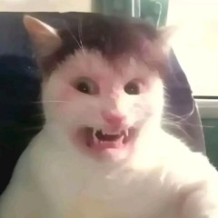 BIOMEKKANIK - Kamikaze Playboy