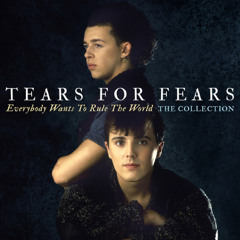 Tears For Fears - Everybody Wants To Rule The World (Dj Guilherme Santos REMIX)