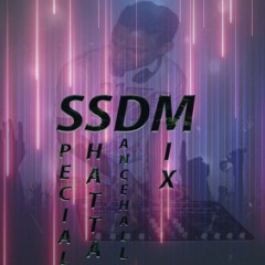 SELEKTA ROMIXX - SSDM [SPECIAL SHATTA DANCEHALL MIX]