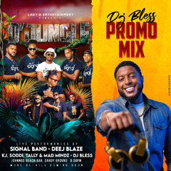 Dj Bless - D'Jungle - Signal Band Mix