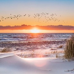 burn- ellie goulding (nice piano)