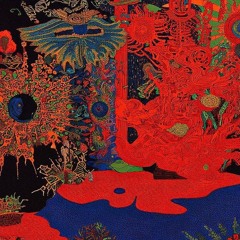 Playthefunk - Buhodermia 夜