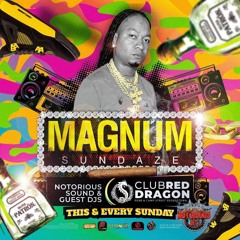 NOTORIOUS INT SOUND "DJ MAGNUM🇬🇾/SEENUP🌏" @MAGNUM SUNDAZE "CLUB RED🚩 DRGAON🐲 27TH JULY,2025.mp3