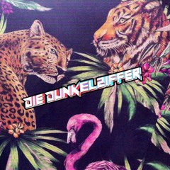 JETZT NEU - DIE DUNKELZIFFER Closing Set @ Symbiotikka 29.01.25