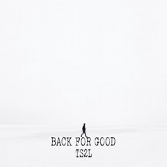 Back for good (in the style of Take That)