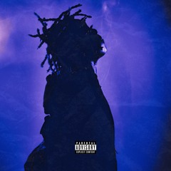 Wild Child - Don Toliver (ft. Drake) AI