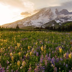 Meditation on Hope When We Are Out of Time