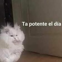 Potente