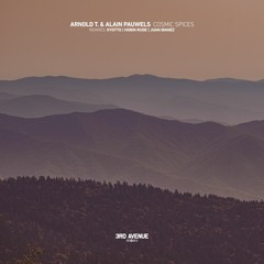 Arnold T., Alain Pauwels - Cosmic Spices (Juan Ibanez Remix) [3rd Avenue]