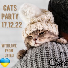 Cats Party 17.12.22