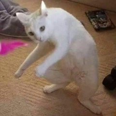 DJ Tela Pipa Pat Te Pat   Slowed  Reverb