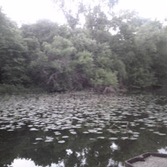 home