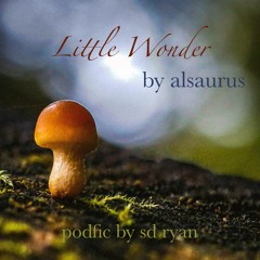 (PODFIC) Little Wonder