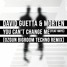 David Guetta & MORTEN - You Can't Change Me (feat Raye) [Ozgun Bigroom Techno Remix]