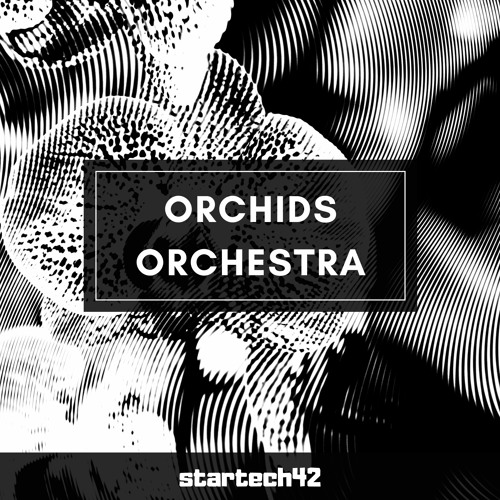 Orchids Orchestra (Original Mix)