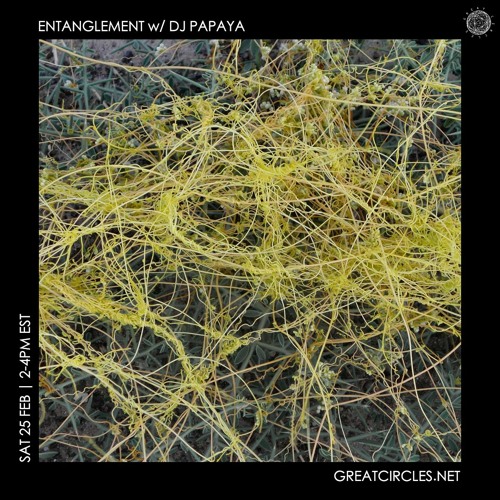 Entanglement w/ DJ Papaya - 25Feb2023