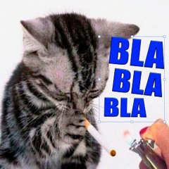 blablabla