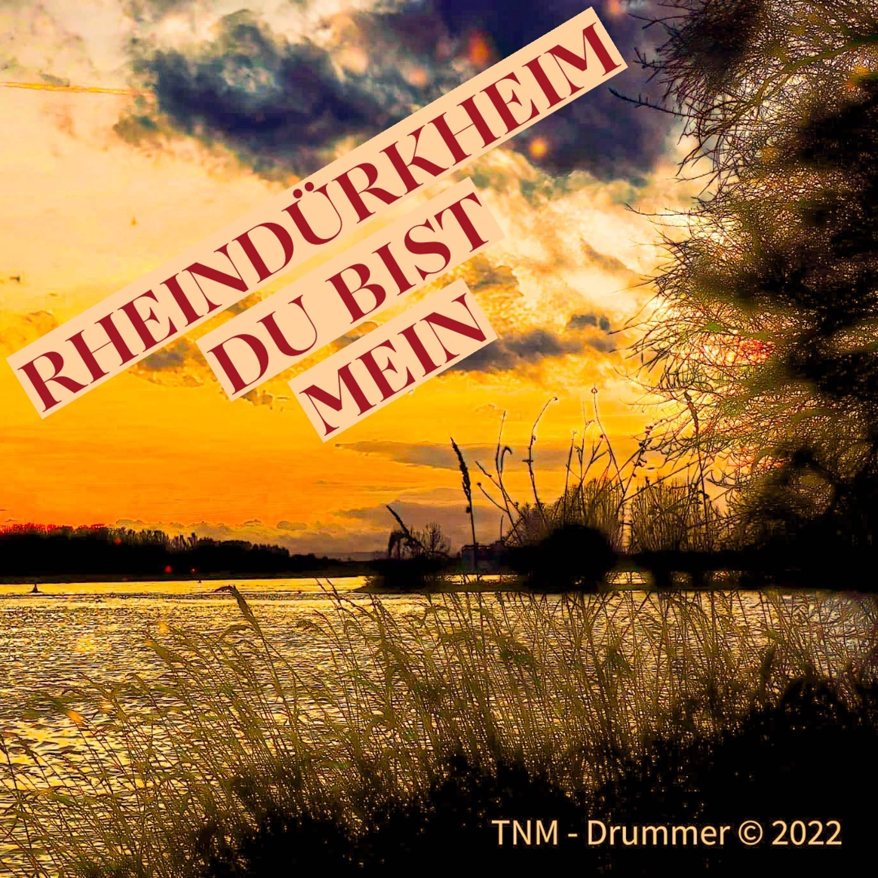 TNM - Drummer