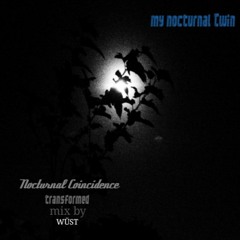 My Nocturnal Twin + WÜST :::  Nocturnal Coincidence