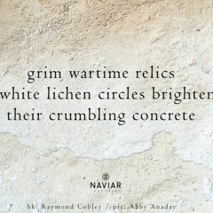 Voiwode - Crumbling Concrete (naviarhaiku414)