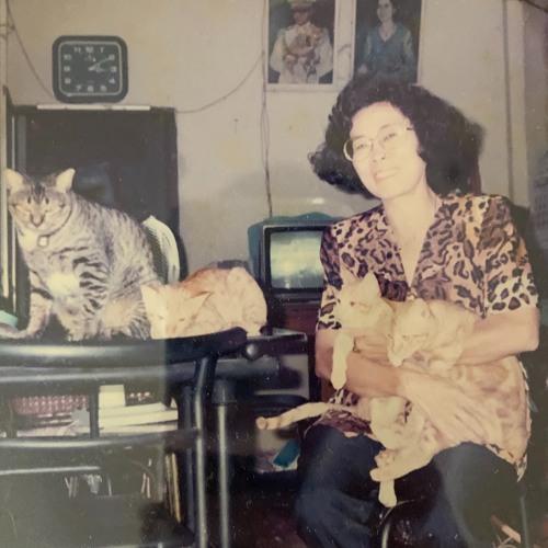 ยังจํากันได้มั้ย demo