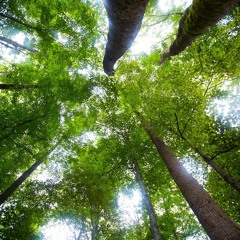 eDance (Live) w/ Rob Lenfestey at Mandala Springs 9/13/22