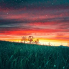 TENUUN -Uuriin_Tsolmon