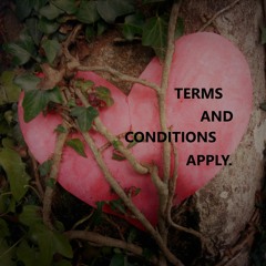 Terms and Conditions.