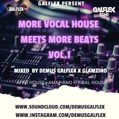 More Vocal House Meets More Beats Vol.1  Mixed By Demus Galflex x Glamzino
