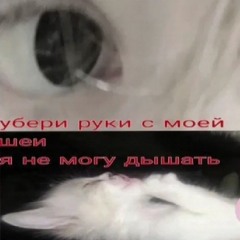 нᴇ ʍᴏᴦу дыɯᴀᴛь