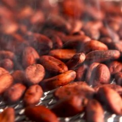 Le Beurre de Cacao