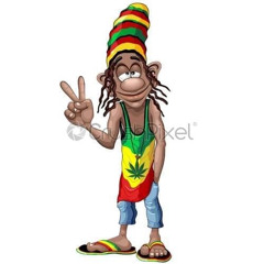 Reggea 🦠🤙❤️